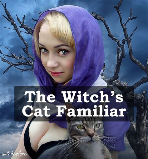 The Witch's Cat: A Guide to Understanding Feline Familiars